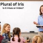 What is the Plural of Iris: Is it Irises or Irides?