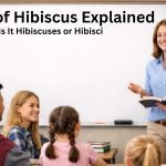 Plural of Hibiscus Explained