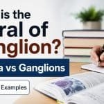 Many people get confused about the plural of ganglion because it does not follow a regular English grammar rule