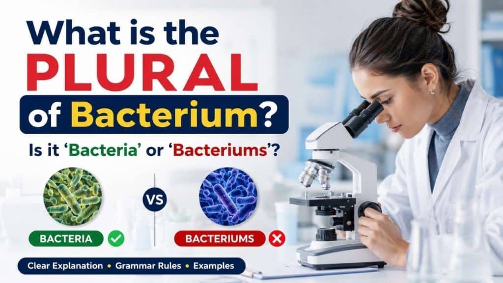 scientist working in a laboratory using a microscope with infographic explaining the plural of bacterium as bacteria and common grammar mistake bacteriums