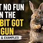 Have you ever heard someone say, "ain't no fun when the rabbit got the gun" and wondered what they meant?